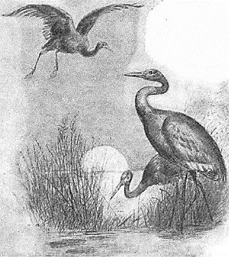 lesson image
