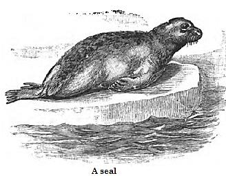 lesson image