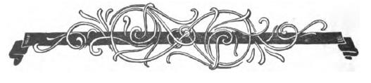 story image