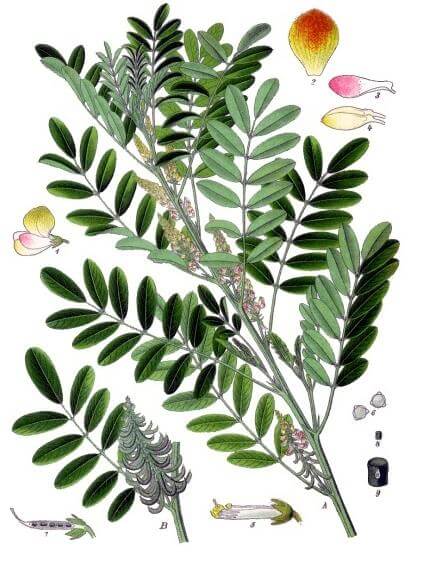 lesson image