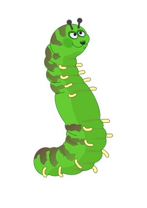 lesson image