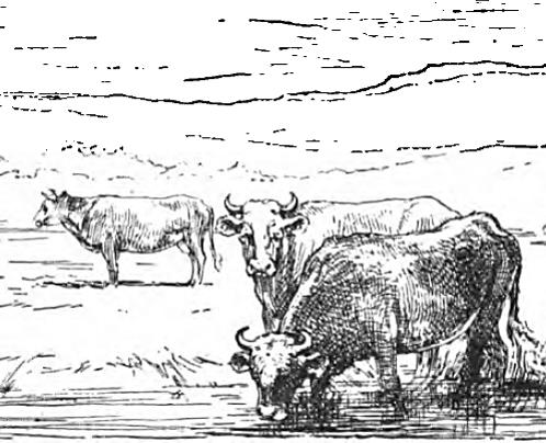lesson image