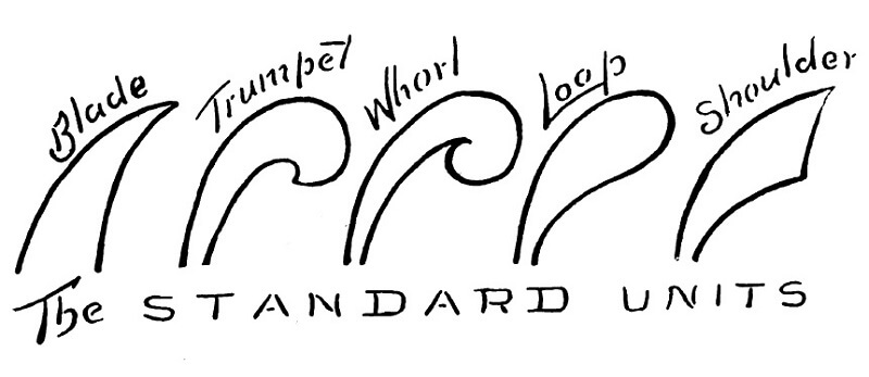 lesson image