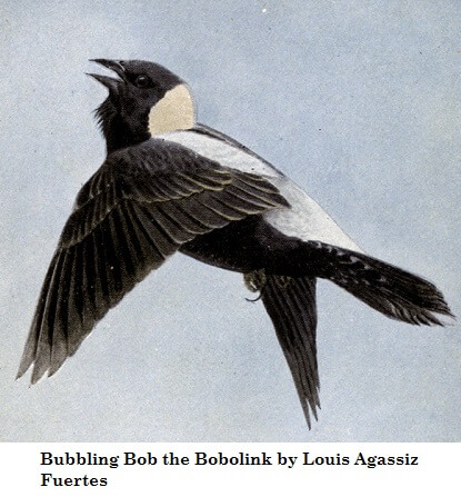 lesson image