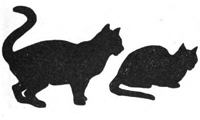 lesson image